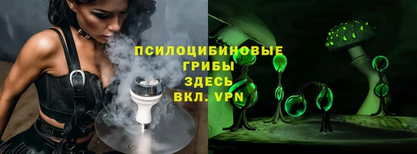 круглые Белокуриха