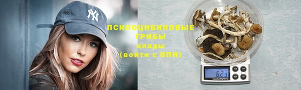 круглые Белокуриха
