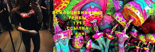 Альфа ПВП Беломорск