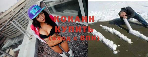 шишки Балахна