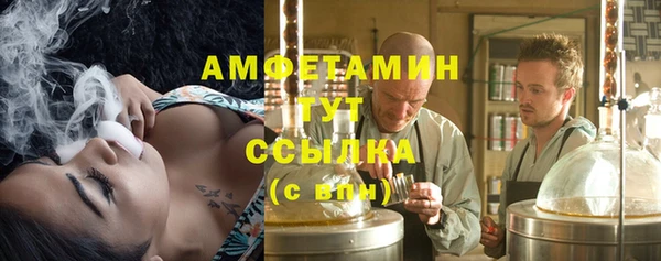 шишки Балахна