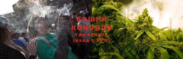 шишки Баксан